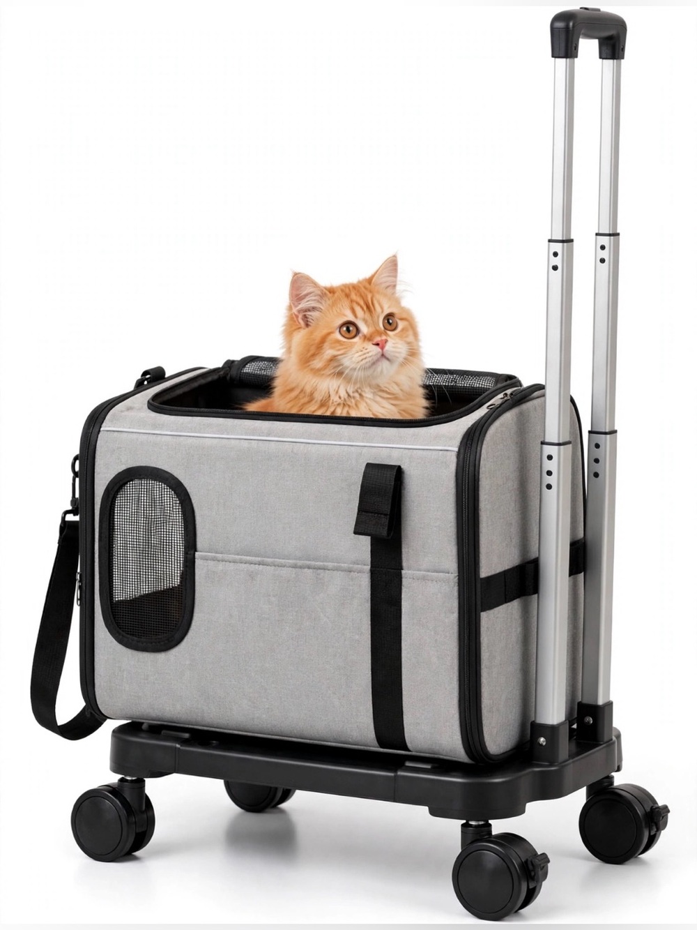 Rollable & Foldable Pet Travel Carrier with Detachable Wheels & Handle